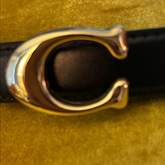 Black Leather Belt with Gold Buckle - Picture 7 of 7
